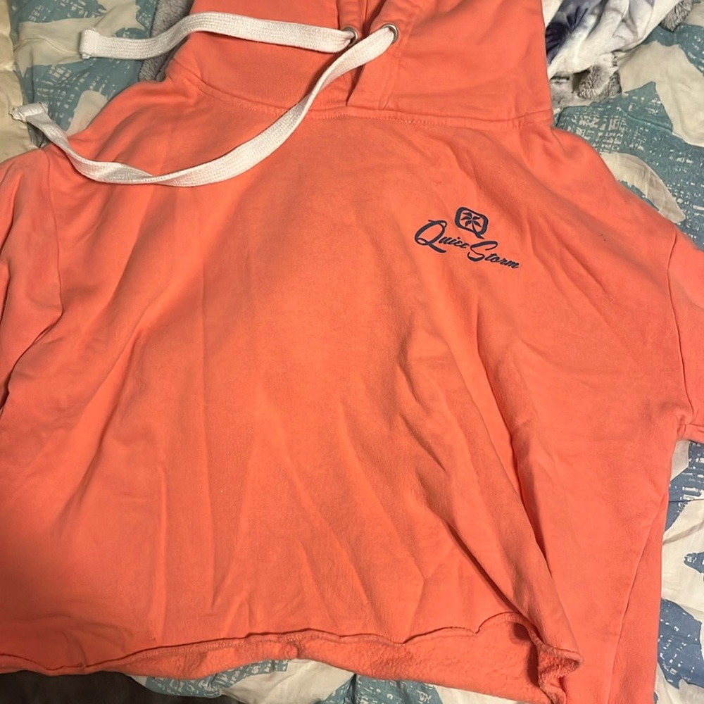 Quite storm cropped hoodie